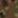  Шорты Urban Legend Brandit, фото 10 