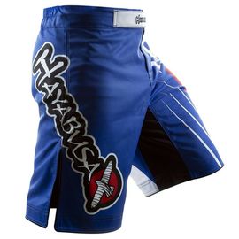  Шорты ММА Hayabusa Chikara Recast Blue, фото 2 