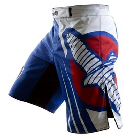  Шорты ММА Hayabusa Chikara Recast Blue, фото 1 