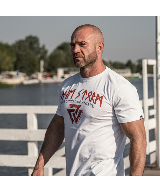  Футболка Асгард, фото 5 