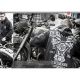  Свитшот Death Rider Dobermans Aggressive BC117, фото 3 