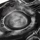  Лонгслив Death Rider Dobermans Aggressive LS102, фото 6 