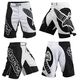 Шорты ММА Hayabusa  Chikara Fight Shorts Black/White, фото 2 