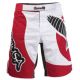  Шорты ММА Hayabusa  Chikara Fight Shorts Red, фото 1 