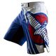  Шорты ММА Hayabusa Chikara Recast Blue, фото 1 