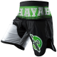 Шорты ММА Hayabusa Flex Factor Training Shorts Green/Black, фото 1 