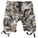  Шорты Airborne Vint Shorts Surplus, фото 16 